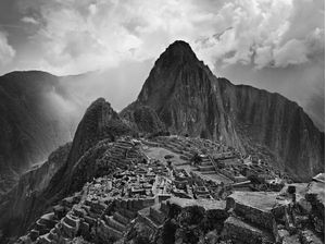 M. PICCHU