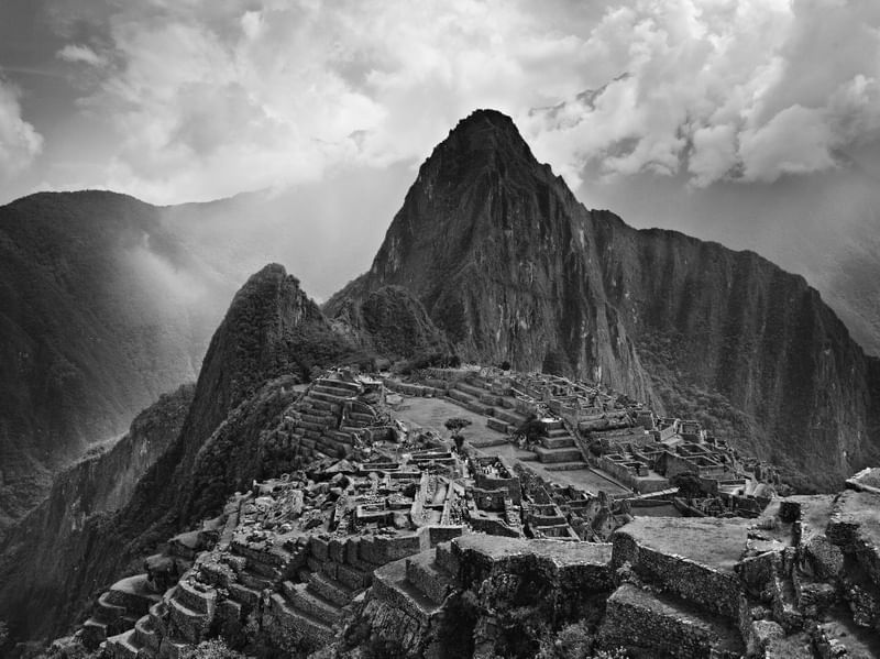 M. PICCHU