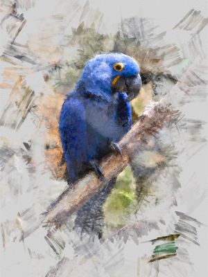 PÁSARO AZUL