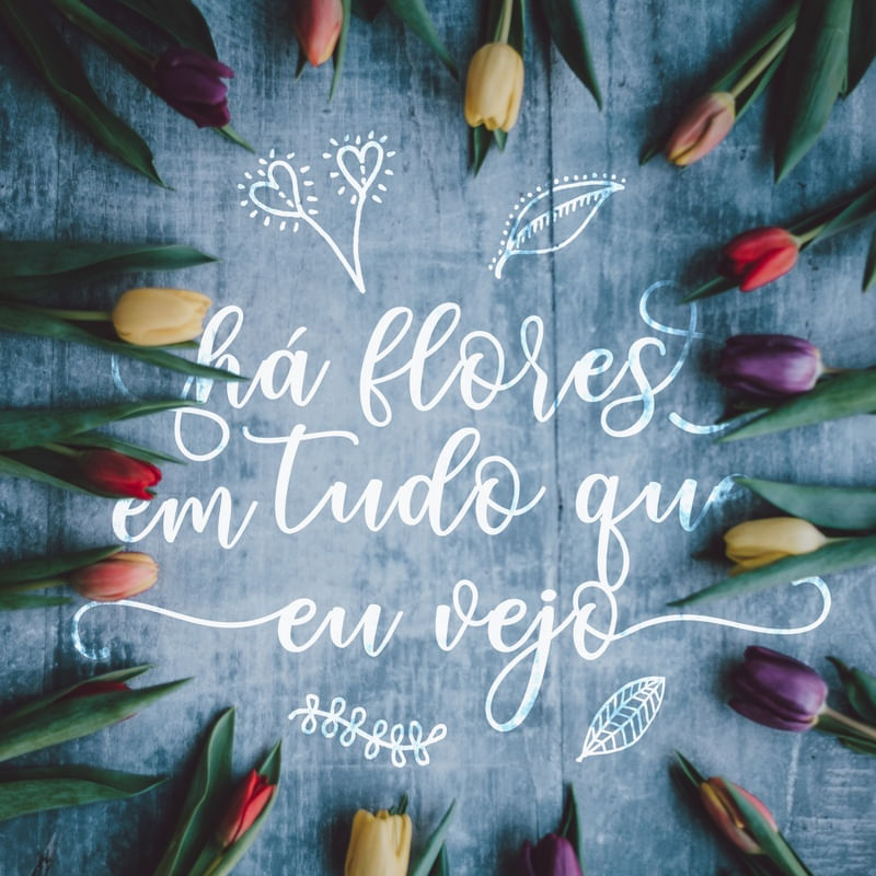 HÁ FLORES EM TUDO QUE VEJO (QUADRADO)