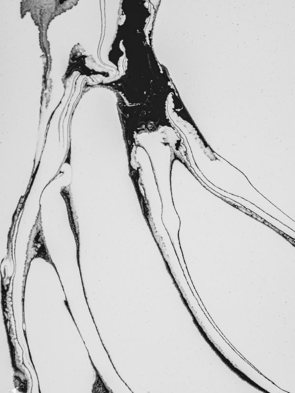 GARRAS DE NANKIN - QUADRIPTICO (INFERIOR DIREITO)