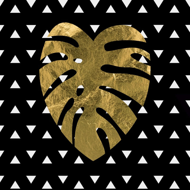MONSTERA GOLD