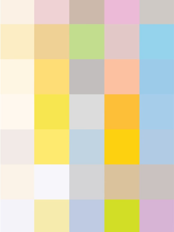 PALETA DE CORES II