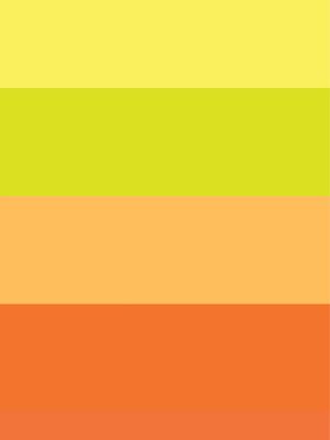 PALETA DE CORES III