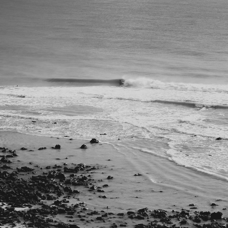 SURF P&B