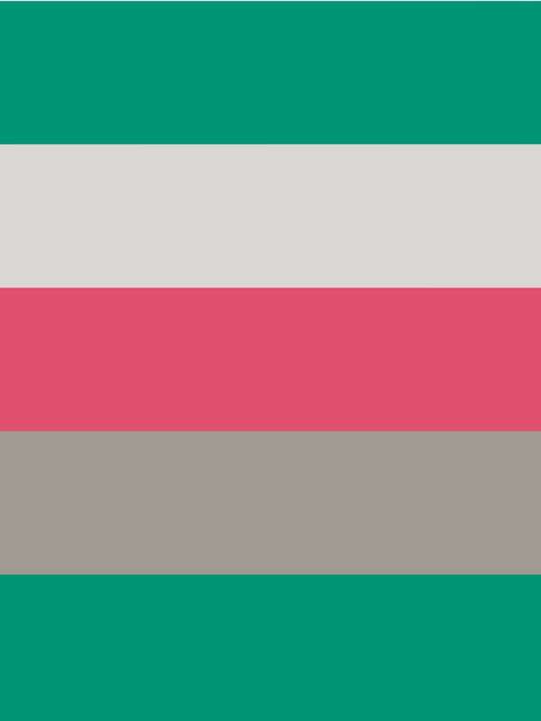 PALETA DE CORES VI