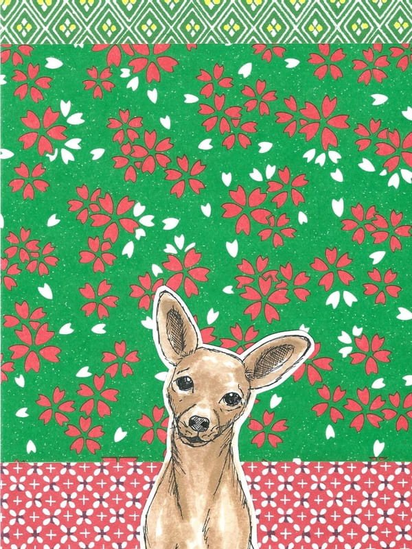 PINSCHER LOVER 3