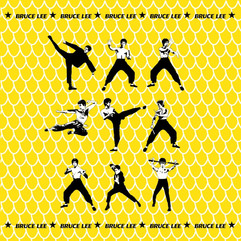 BRUCE LEE - KUNG FU
