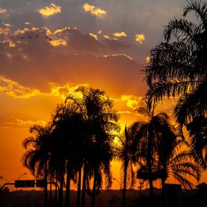 ARTHUR CAMANHO | PÔR DO SOL
