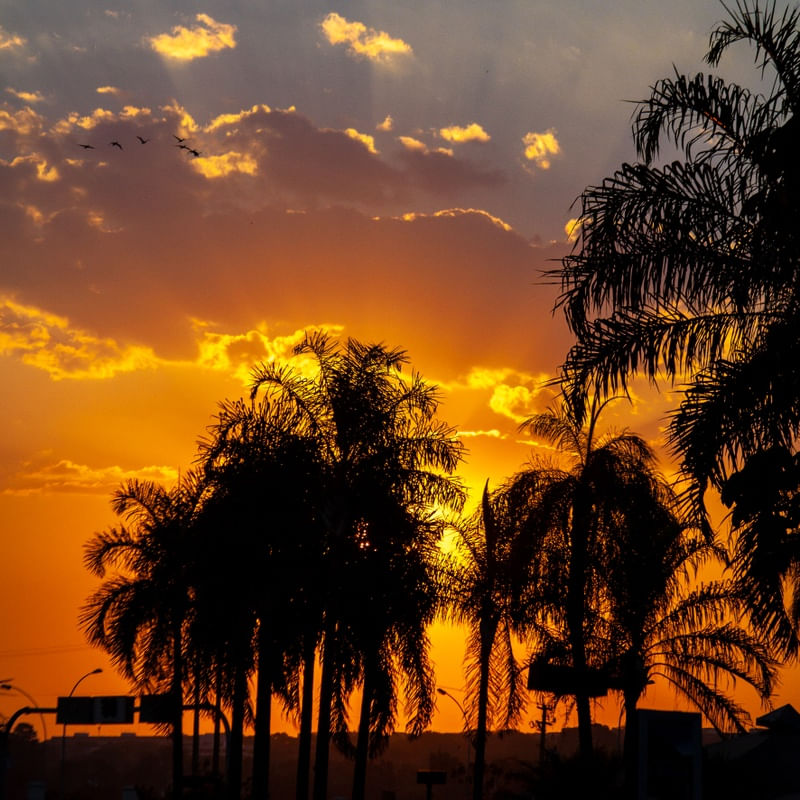 ARTHUR CAMANHO | PÔR DO SOL