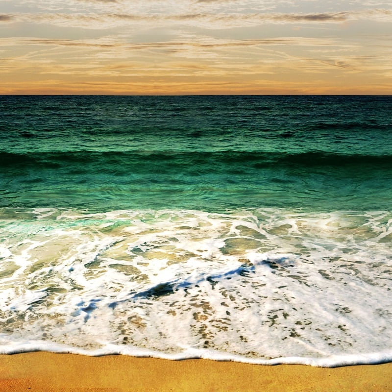 OCEANO OCEANOS | DÍPTICO ESQUERDA