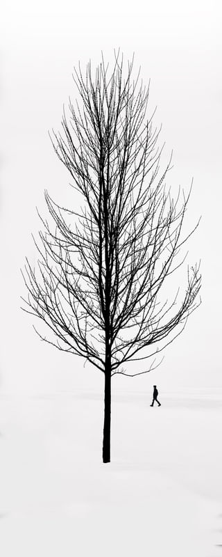 MINIMALISMO | PANORÂMICO