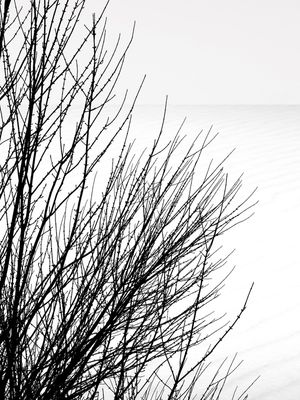 MINIMALISMO | DÍPTICO DIR.