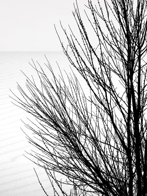 MINIMALISMO | DÍPTICO ESQ.