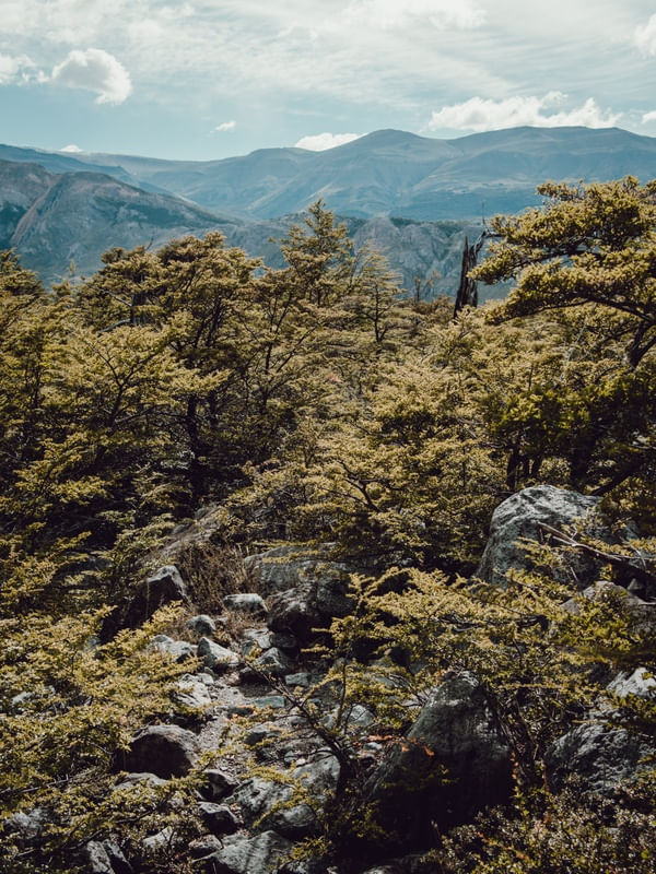 COLEÇÃO PATAGÔNIA - TOPO DA MONTANHA
