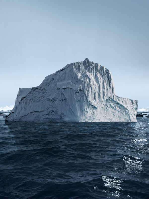 ICEBERG | RETRATO