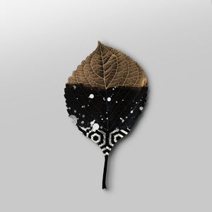 NATUREZA GEO