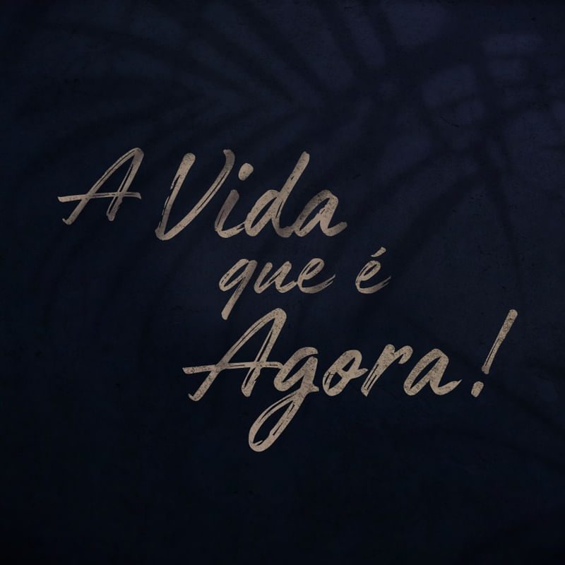 A VIDA QUE É AGORA!