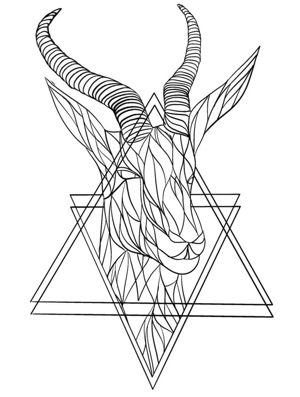 ANTÍLOPE LINES