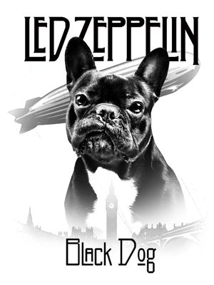 BLACK DOG LED ZEPPELIN