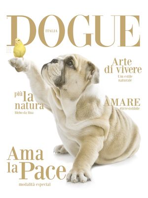 REVISTA DOGUE