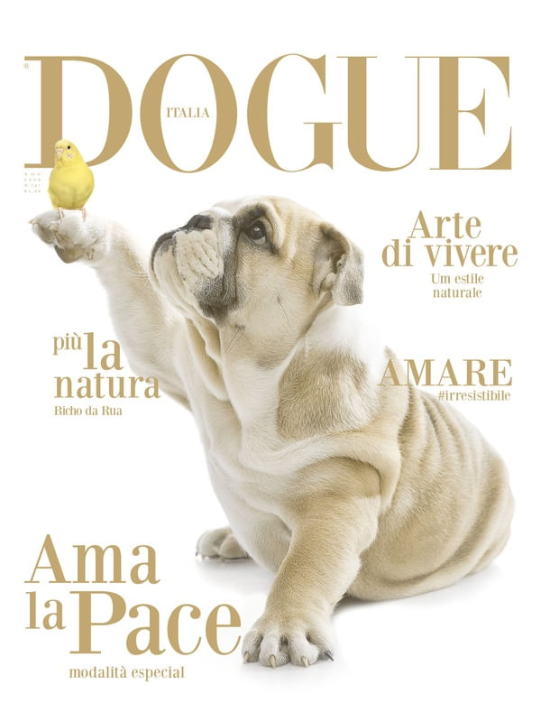 REVISTA DOGUE