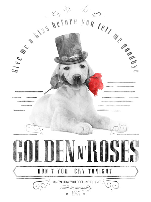 GOLDEN ROSES