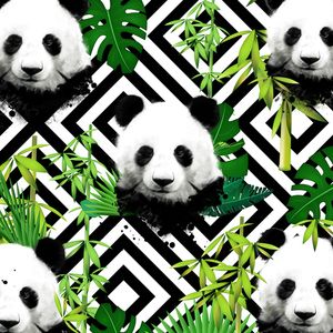 PANDA PANDAS