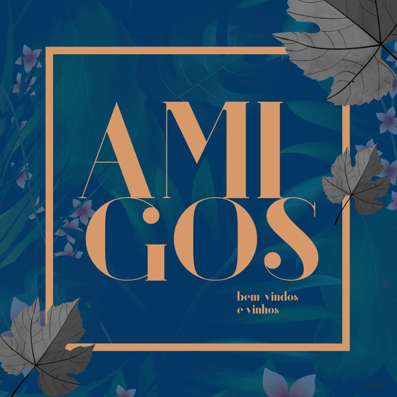 AMIGOS BEM-VINDOS E VINHOS