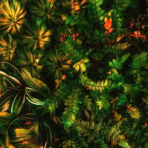 FOLHAS TROPICAIS VERDES XII
