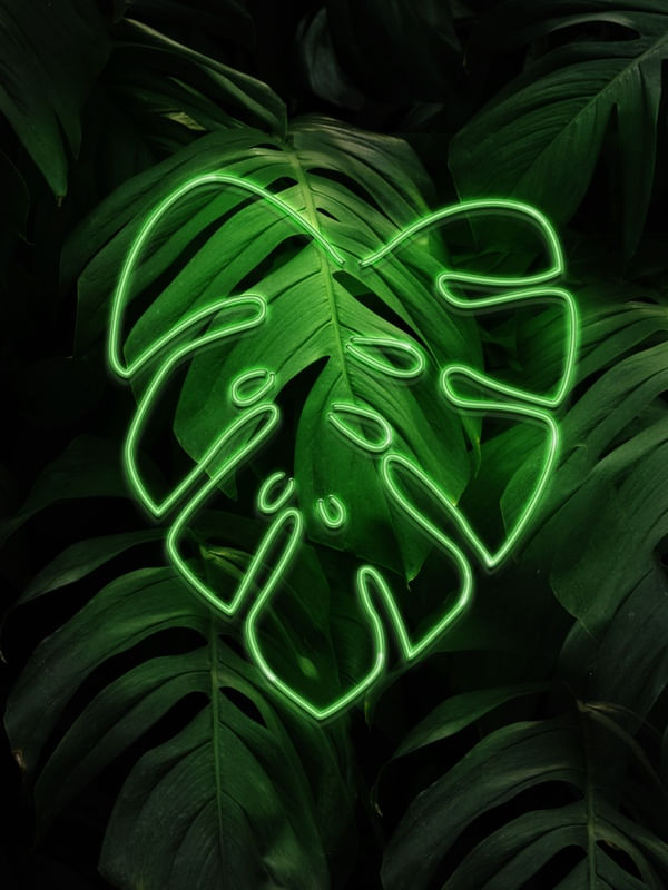 NEON PARA AS FOLHAS