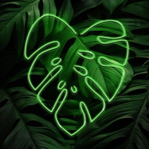 NEON PARA AS FOLHAS II