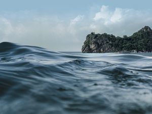 FOTOGRAFIA | NATUREZA DA ILHA
