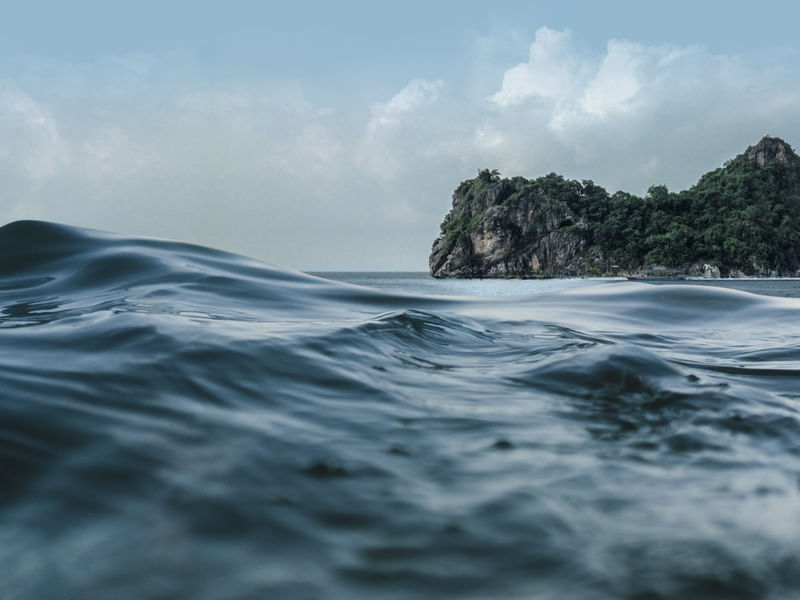 FOTOGRAFIA | NATUREZA DA ILHA