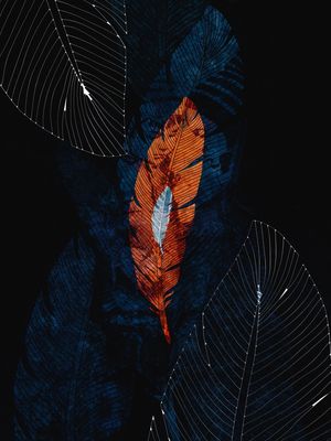 BIRD MAN FEATHER