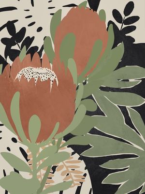 AFRICANA PROTEA