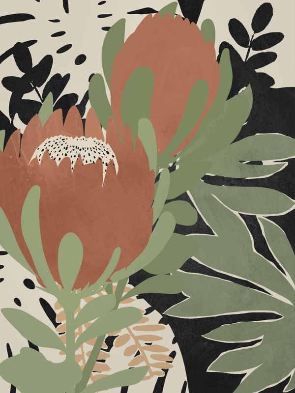 AFRICANA PROTEA