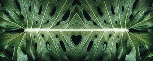 FOLHAS TROPICAIS VERDES XXXII