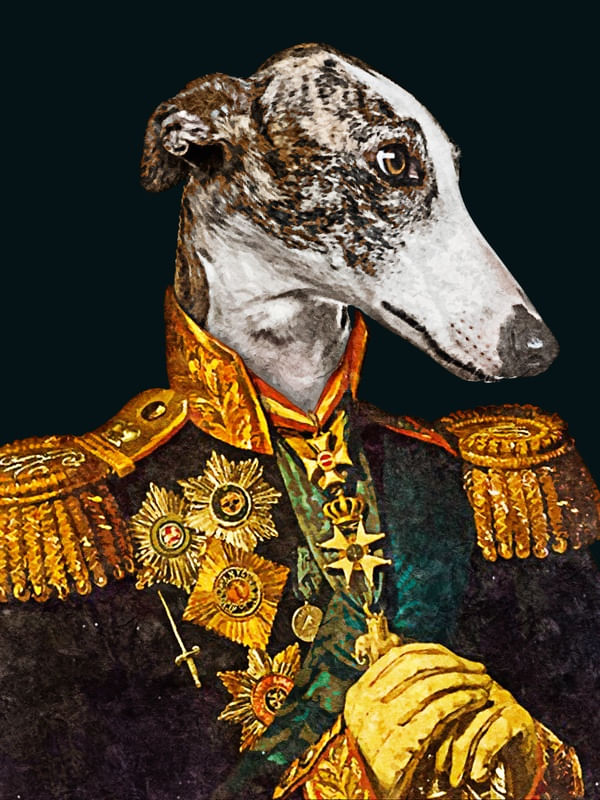 CACHORRO IMPERADOR