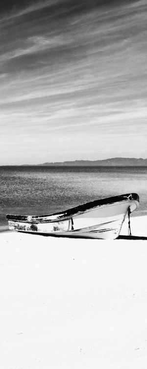 MINIMALISMO BARCO V | PANORÂMICO