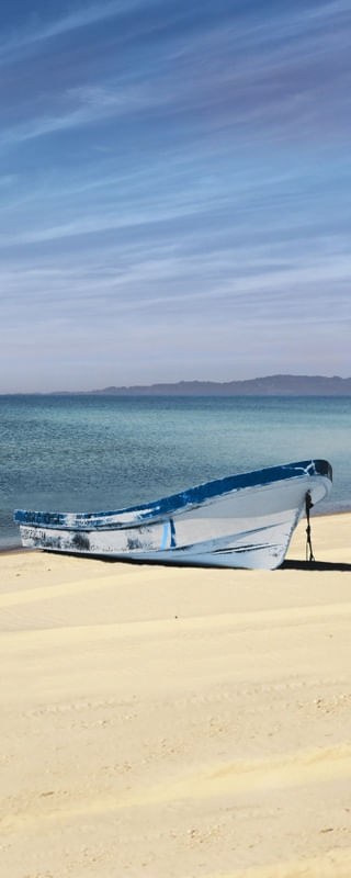 MINIMALISMO BARCO | PANORÂMICO