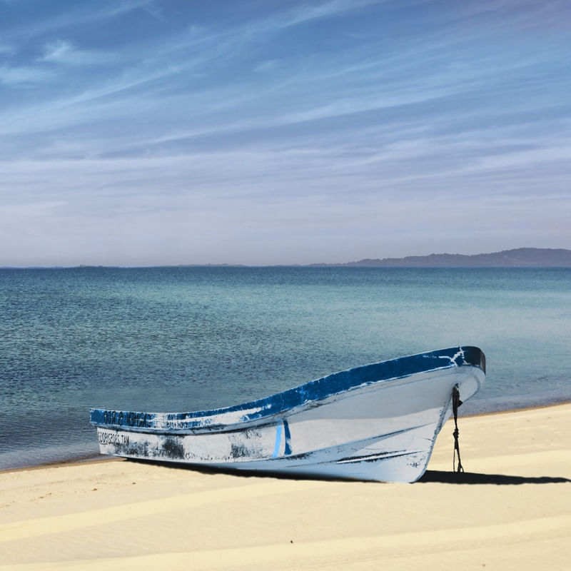 MINIMALISMO BARCO S | DÍPTICO 2 DE 2