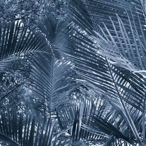 COLEÇÃO CORES - FOLHAGEM AZUL