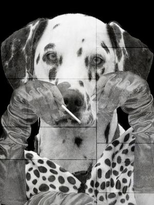 DOG 012454