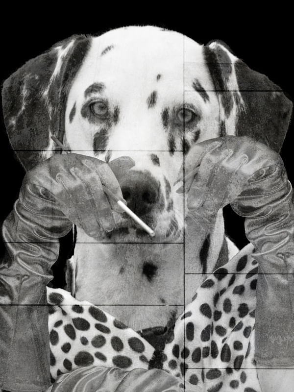 DOG 012454