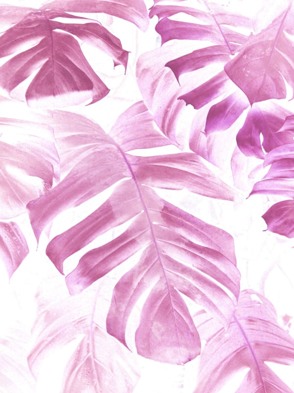 NATUREZA ROSA II