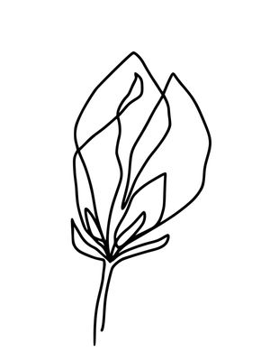 TRAÇOS DE FLOR