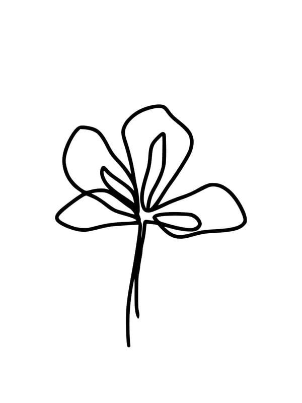TRAÇOS DE FLOR I