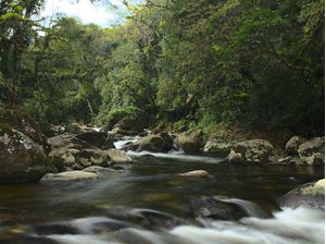 MORRETES - RIO DE VELUDO