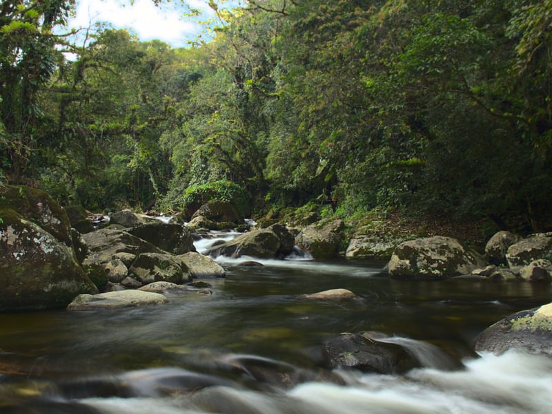 MORRETES - RIO DE VELUDO